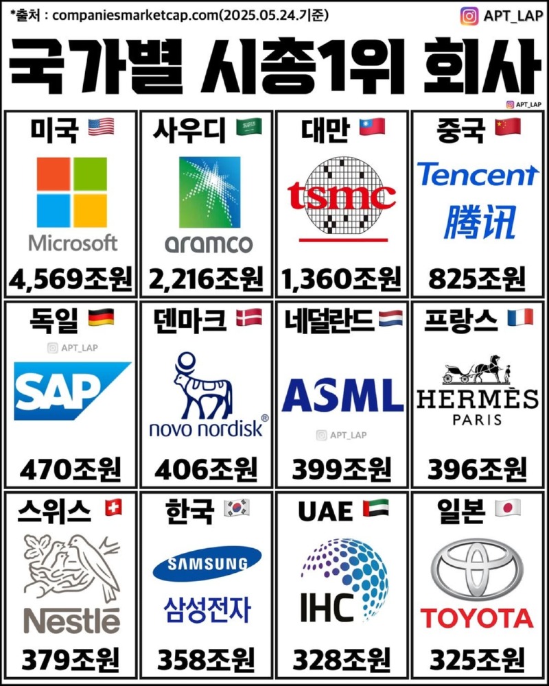 국가 별 시가총액 1위 기업 
