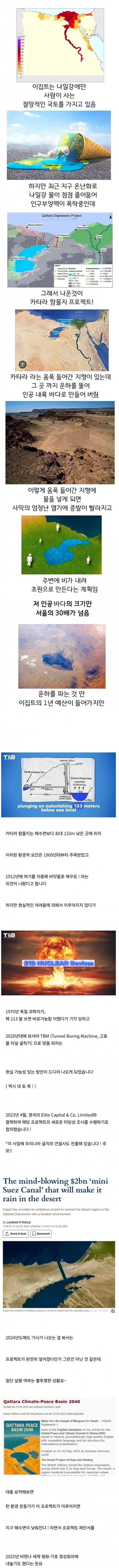 현재 이집트가 직면한 국가 프로젝트.jpg 
