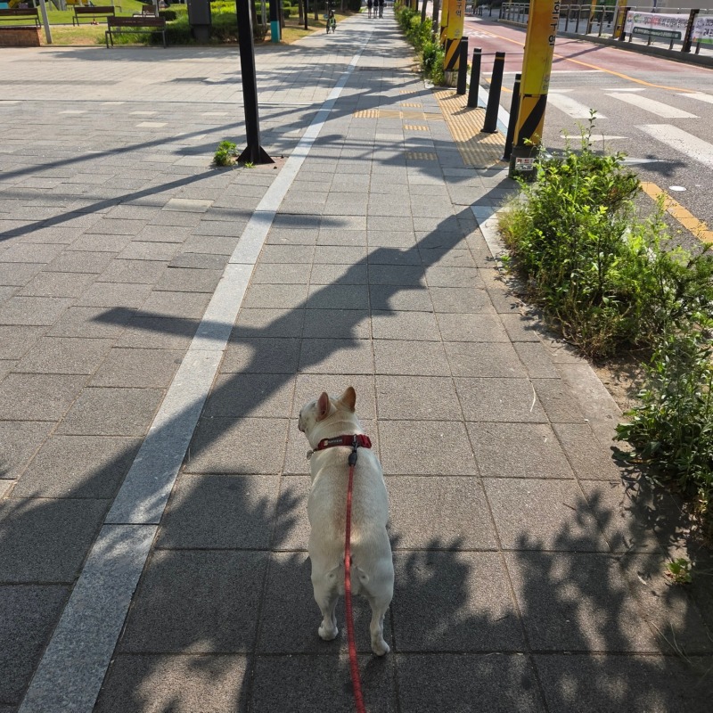 도하공원 산책