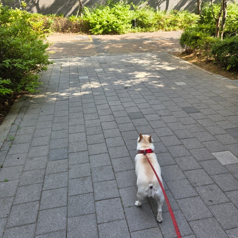 도하공원 산책