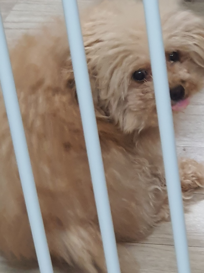 감자야