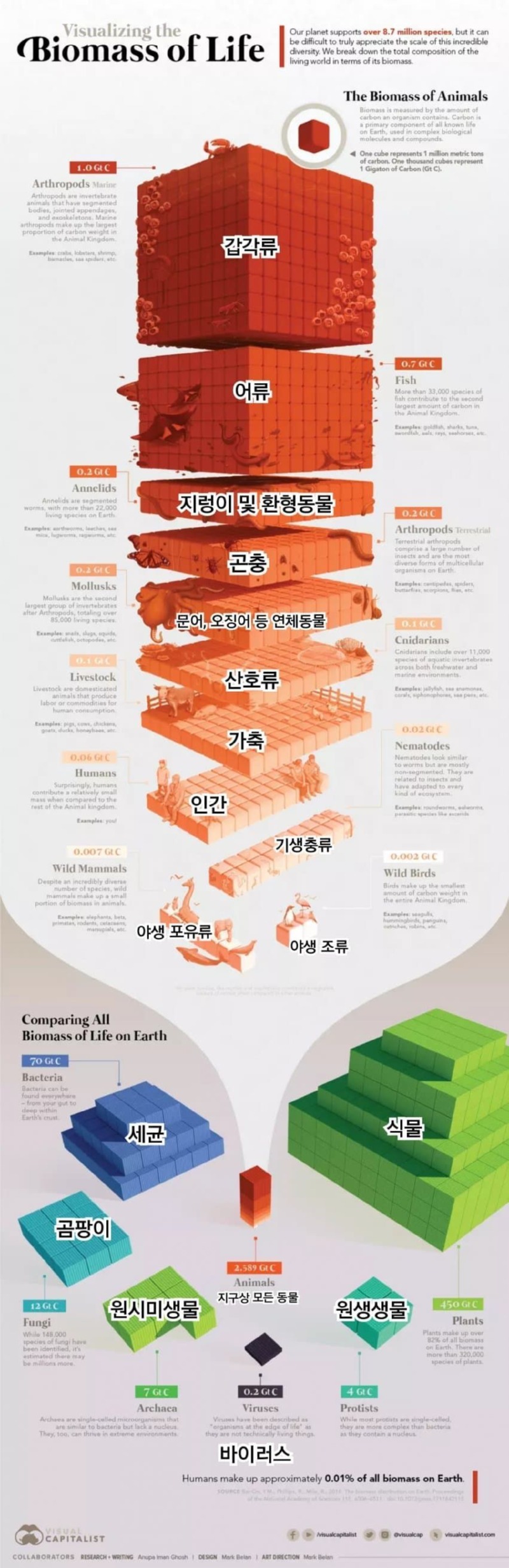 지구에 존재하는 생물량의 수량 순위