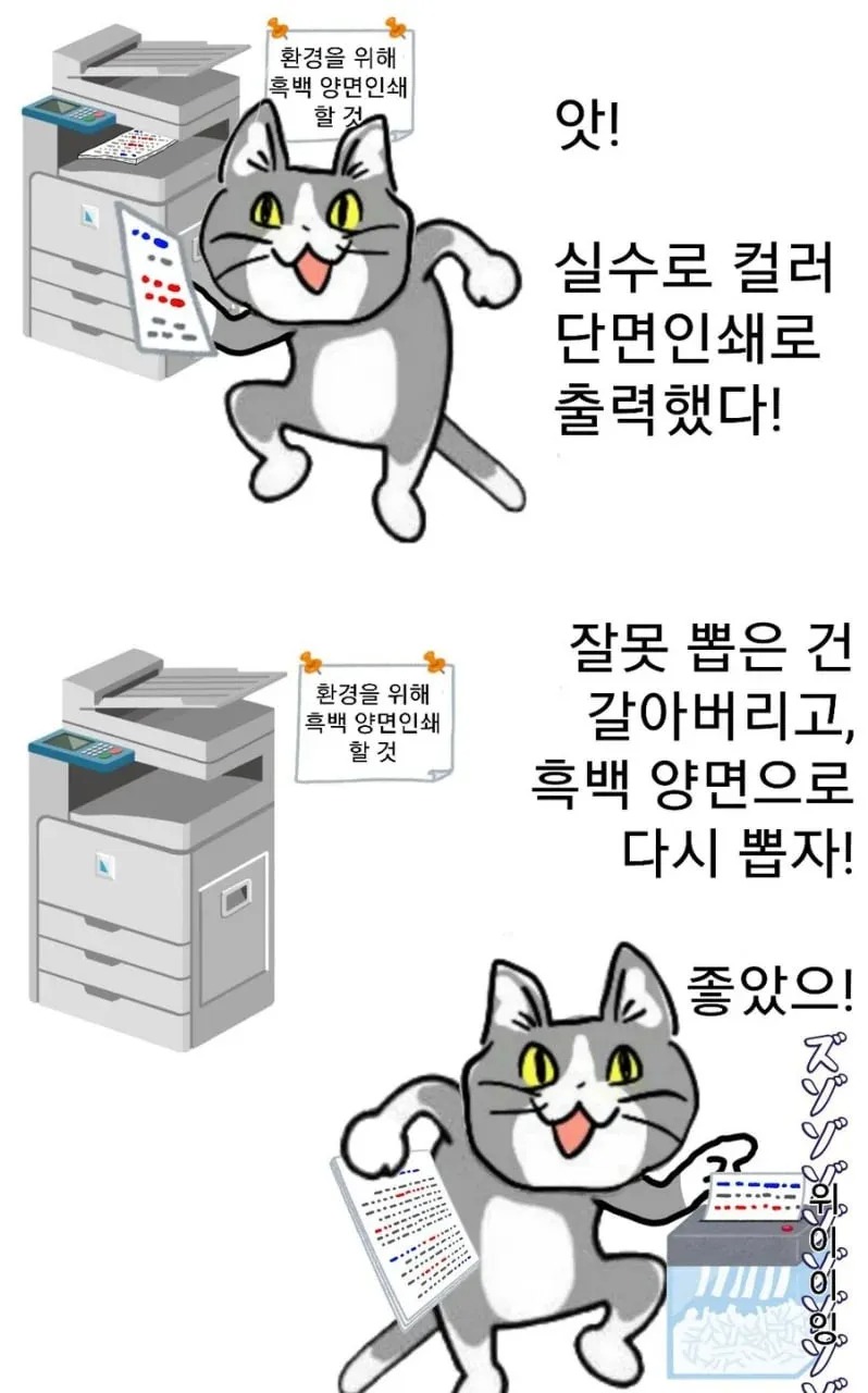 회사 막내 때 해본 짓