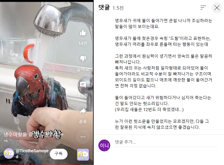 앵무새 귀에 물들어가도 안죽는다는 유튜버 .jpg