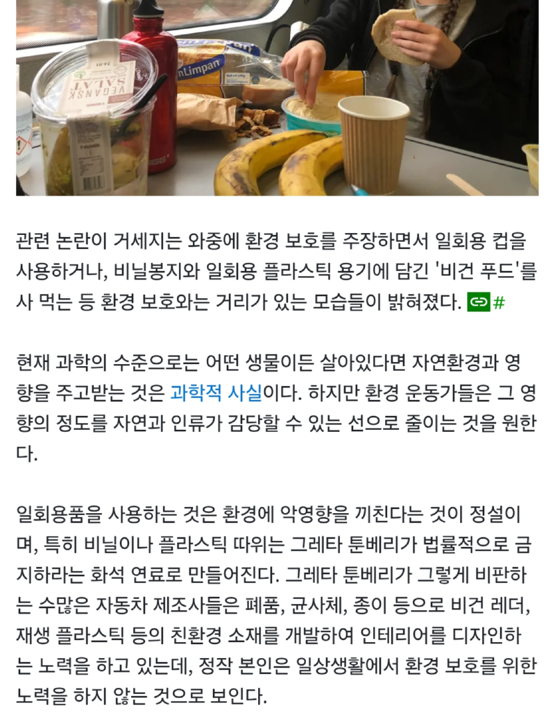 패션 환경운동가 툰베리 