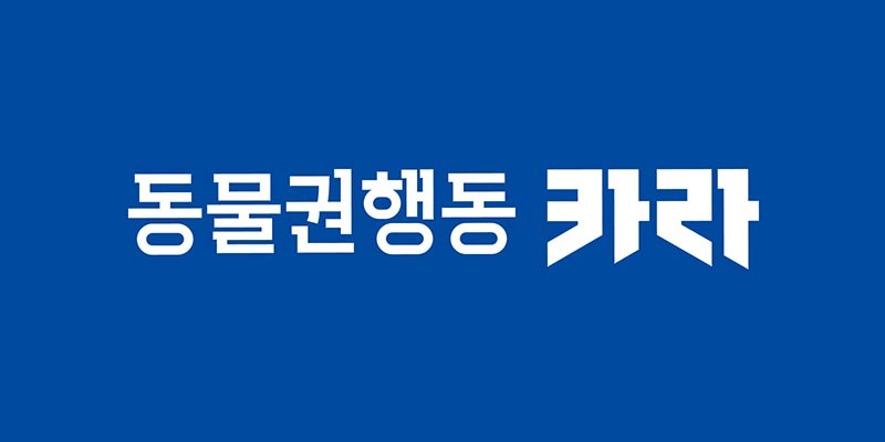 국내 동물보호 단체들을 알아보자 - 국내 동물보호단체 리스트와 후원 규모 -