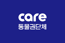 국내 동물보호 단체들을 알아보자 - 국내 동물보호단체 리스트와 후원 규모 -
