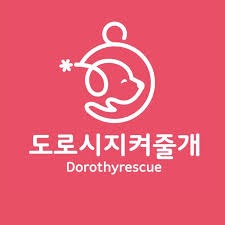 국내 동물보호 단체들을 알아보자 - 국내 동물보호단체 리스트와 후원 규모 -