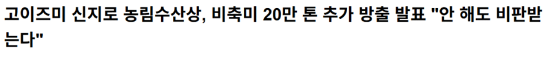 고이즈미 "해도 비판, 안 해도 비판받는다"