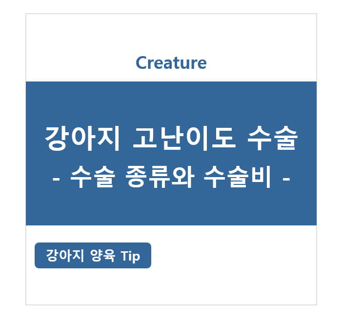 강아지 고가의 고난이도 수술 종류와 수술비
