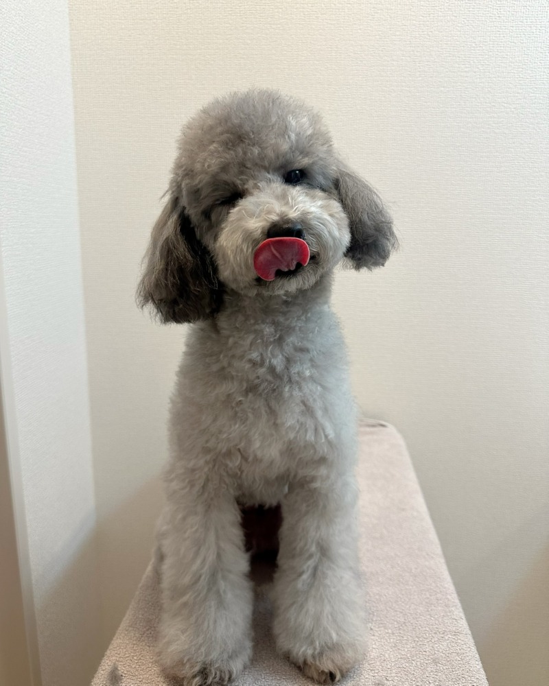 낼롬 설