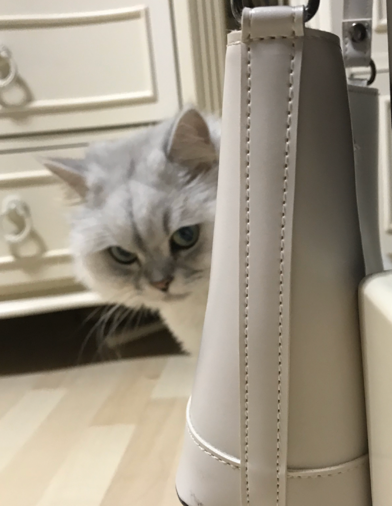빼꼼 나나