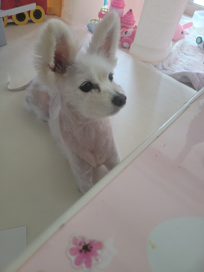 너왜 애껄먹으려고기다려