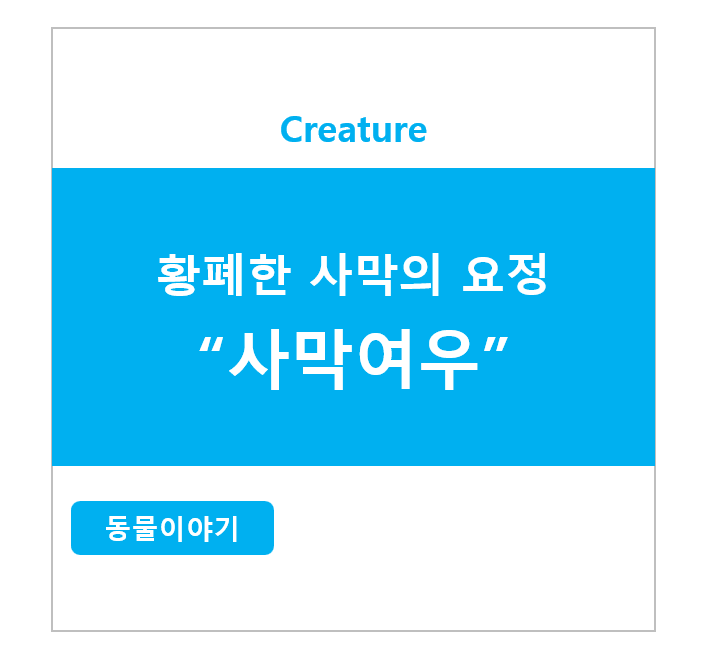 황폐한 사막의 요정, 사막여우