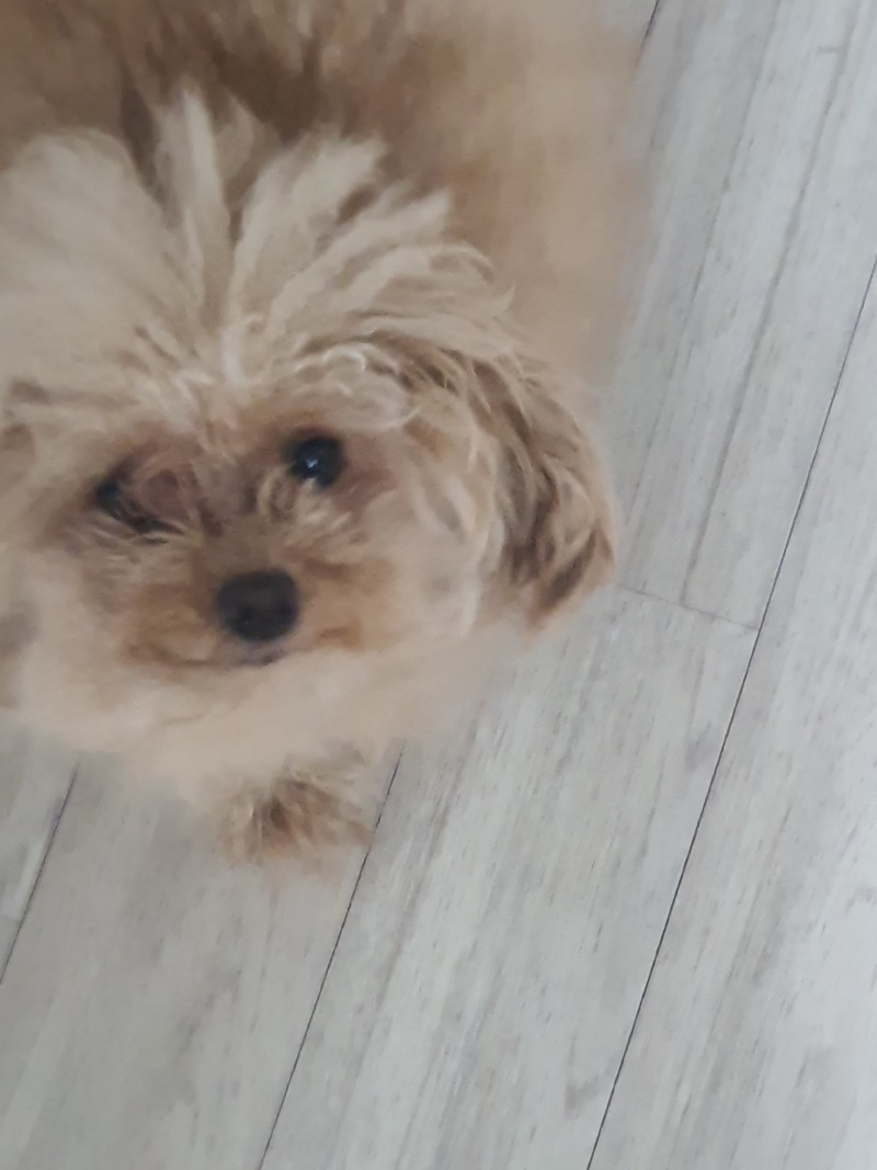 오늘 감자