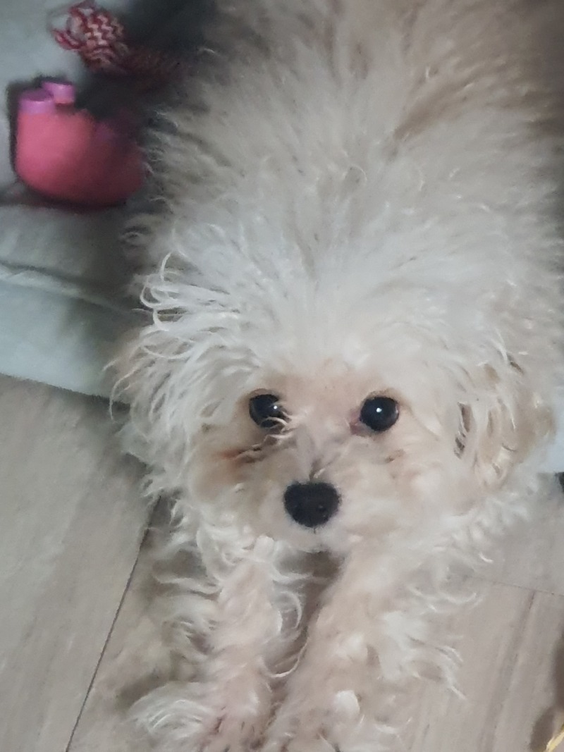 오늘 탕