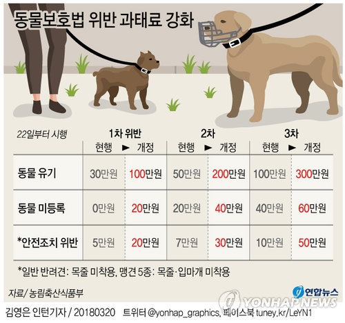 연간 유기동물 10만마리, 유기동물 감소를 위한 대책은...? 