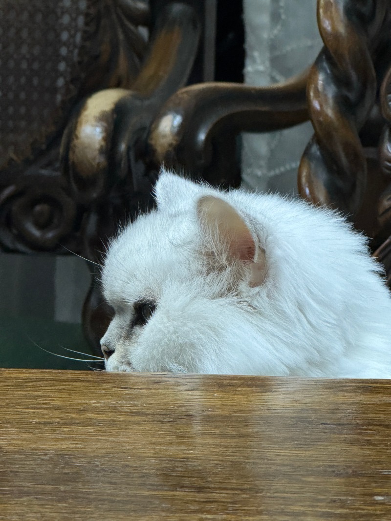 옆라인 미녀 루루