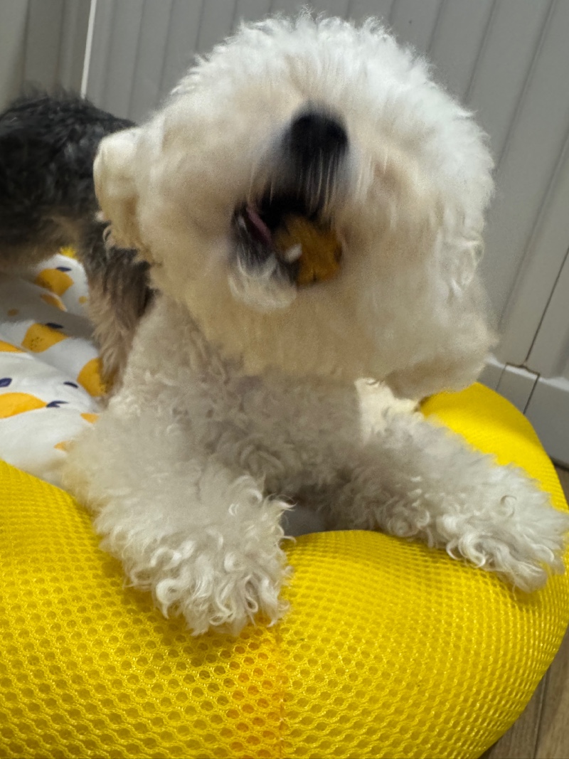 우리 우유💕