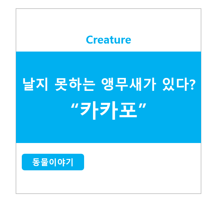 날지 못하는 앵무새가 있다? 카카포
