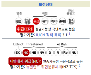 날지 못하는 앵무새가 있다? 카카포