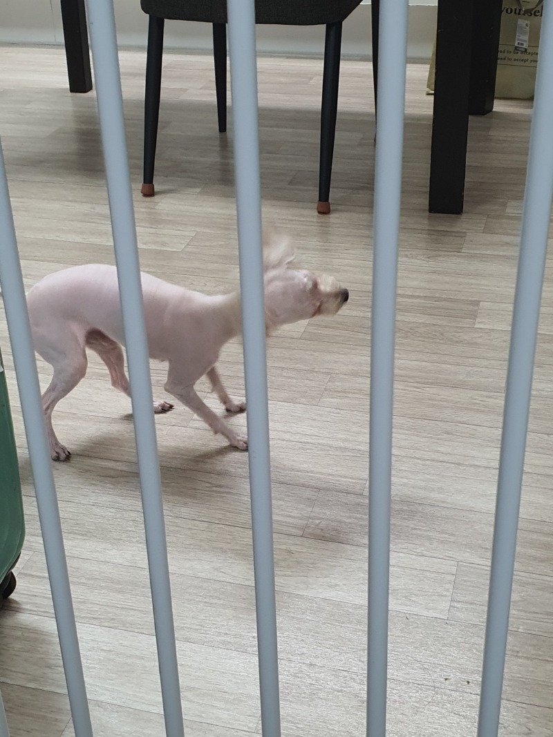 절대 이쪽을 보지 않는 탕이