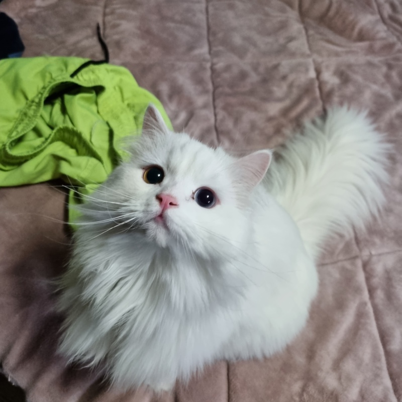 우리 루이❤️