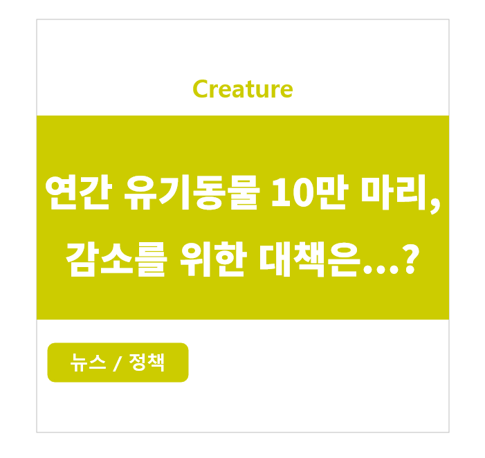 연간 유기동물 10만마리, 유기동물 감소를 위한 대책은...? 