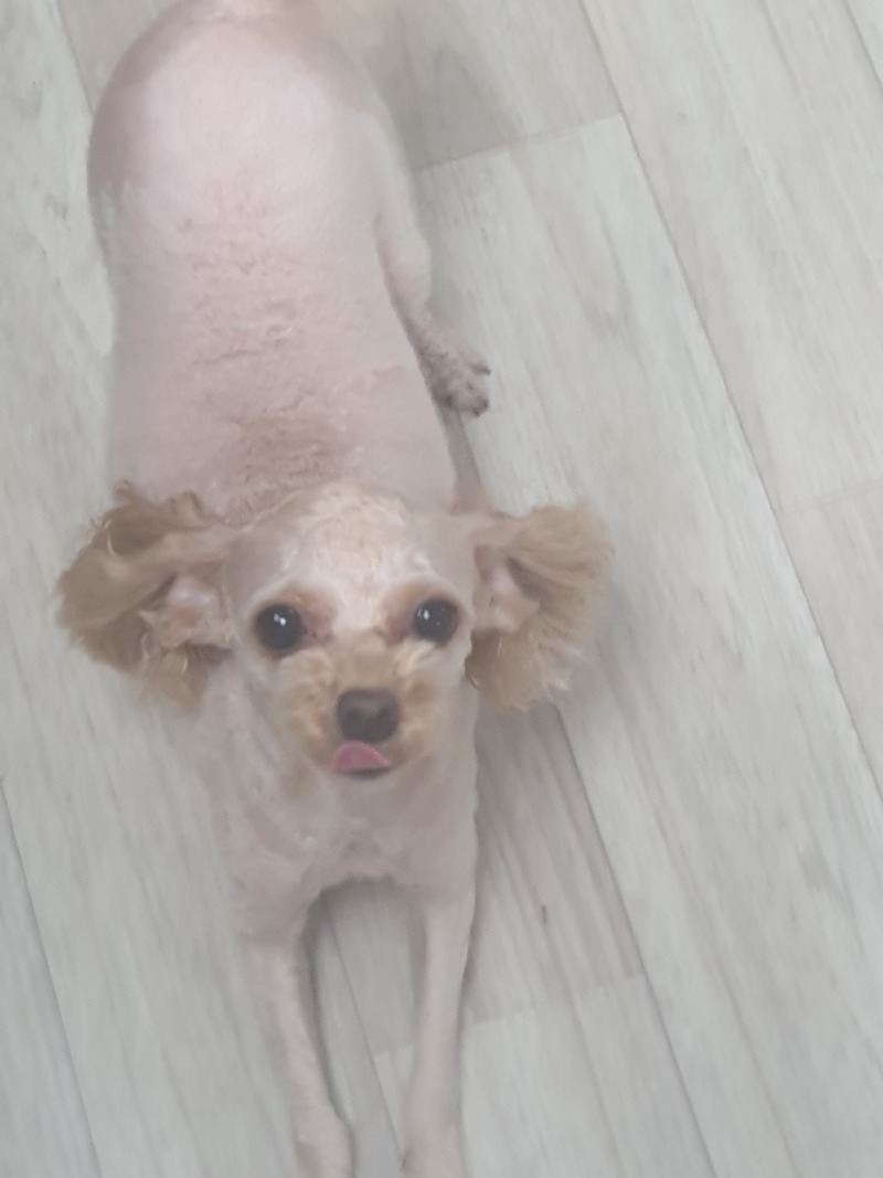 감자 사랑해