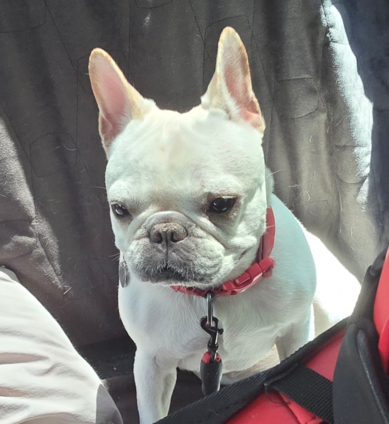 찐뽱 