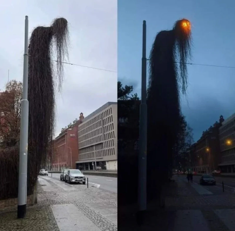 폴란드의 가로등 사진