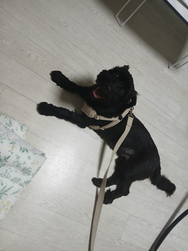 날이 너무 더워서..