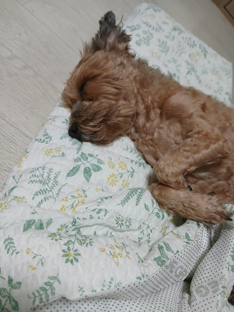 하루 마무리