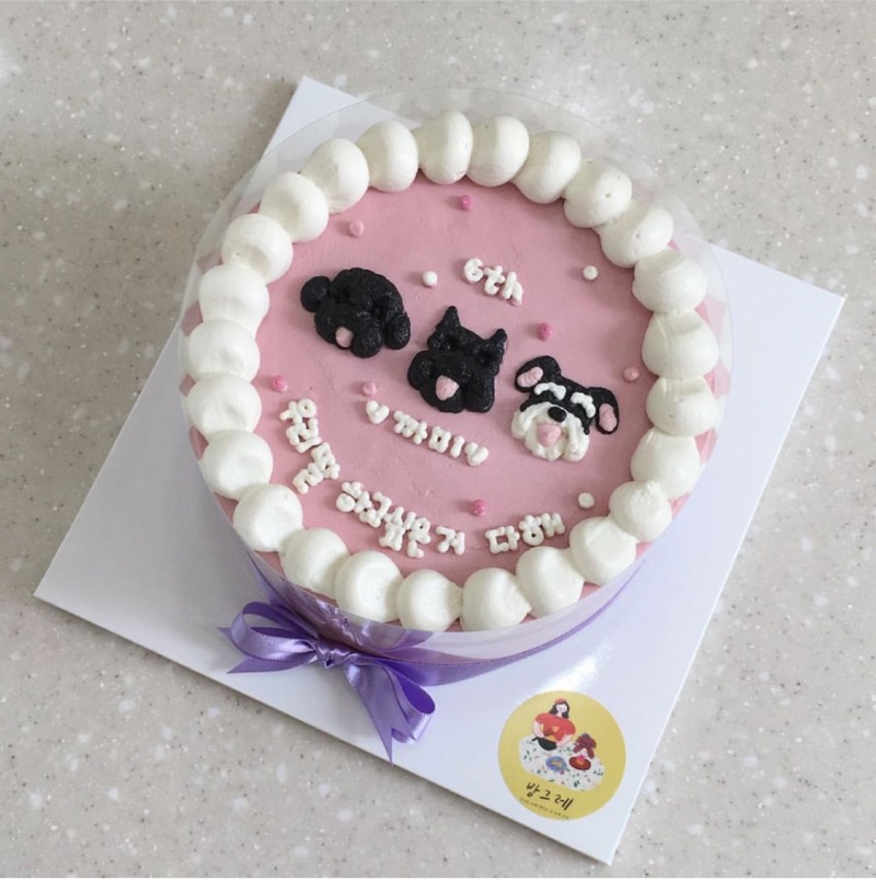 우리 댕댕이 생일잔치 