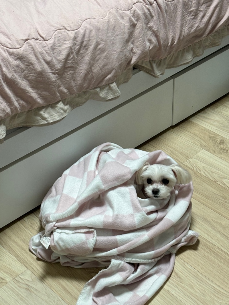 하암 졸령