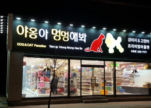 오프라인 반려용품 스토어 프랜차이즈들을 알아보자 !