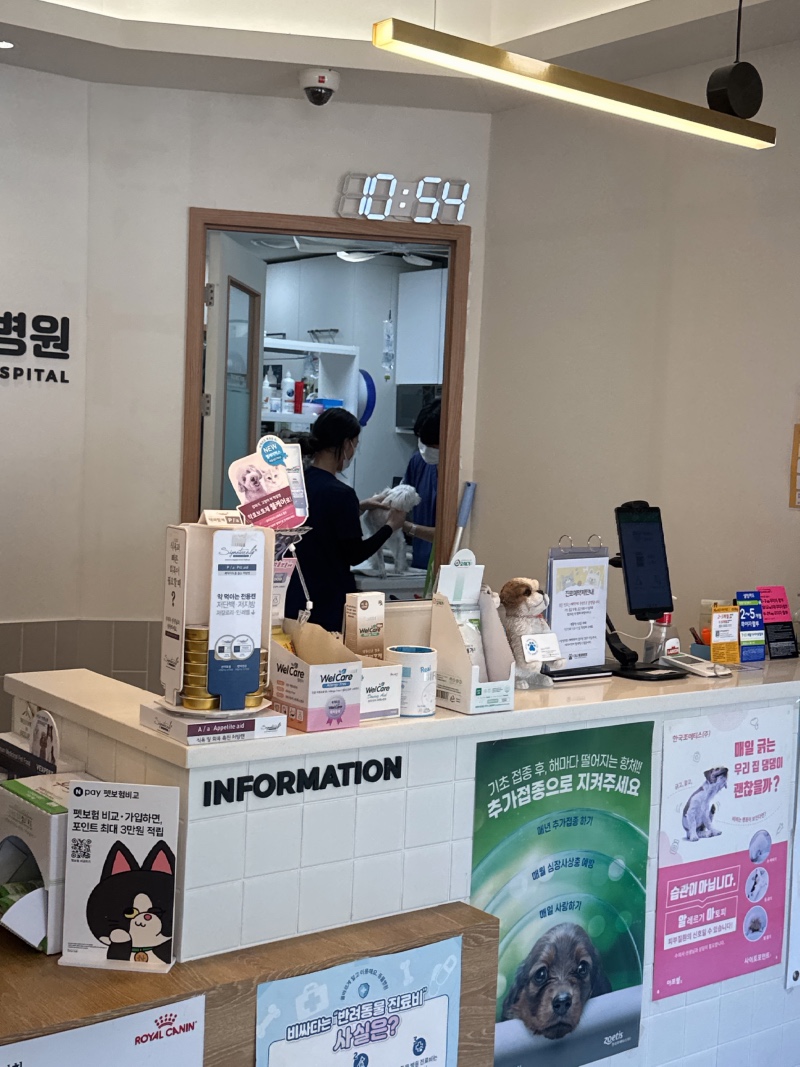 수원다나동물병원