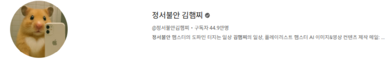보법이 다른 Ai 유튜버, 정서불안 김햄찌 