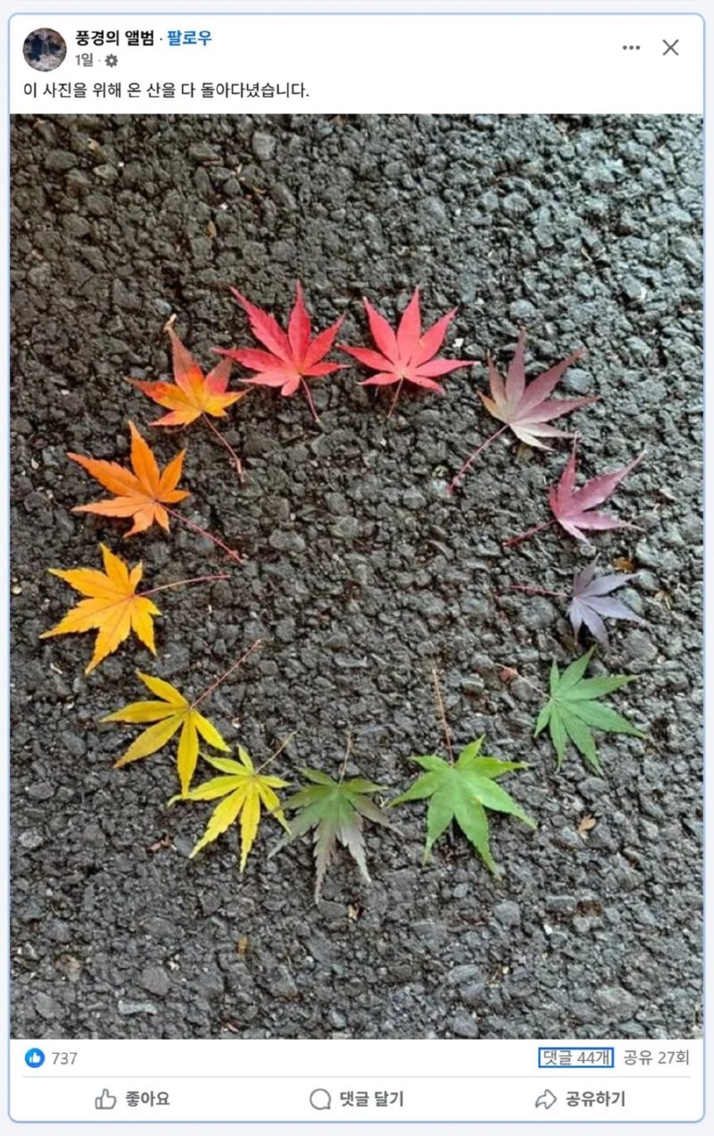 사진 한 장을 위해, 온 산을 돌아다님 사람 