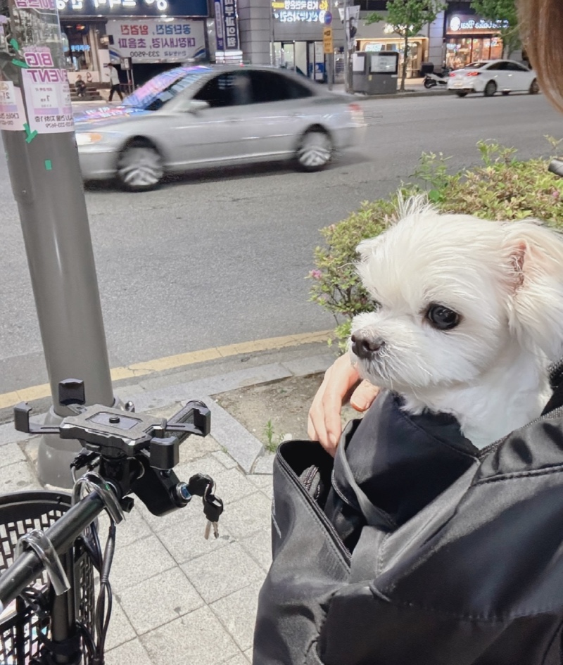 라이딩하는 가나디