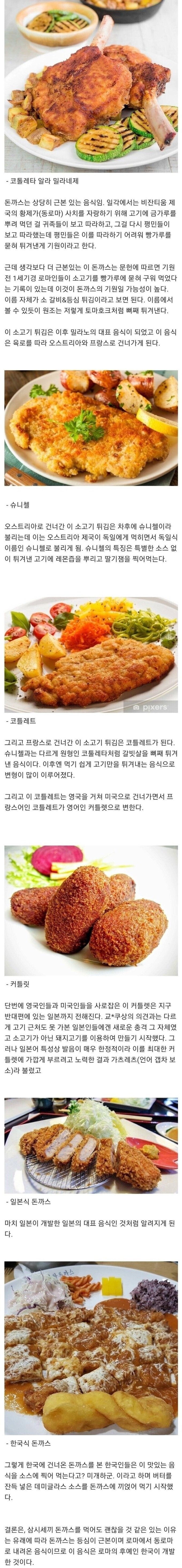 생각보다 오래 된 돈까스의 기원.jpg