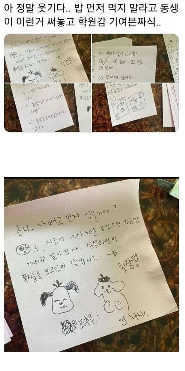 언니 밥 먼저 먹지마ㅠㅠ