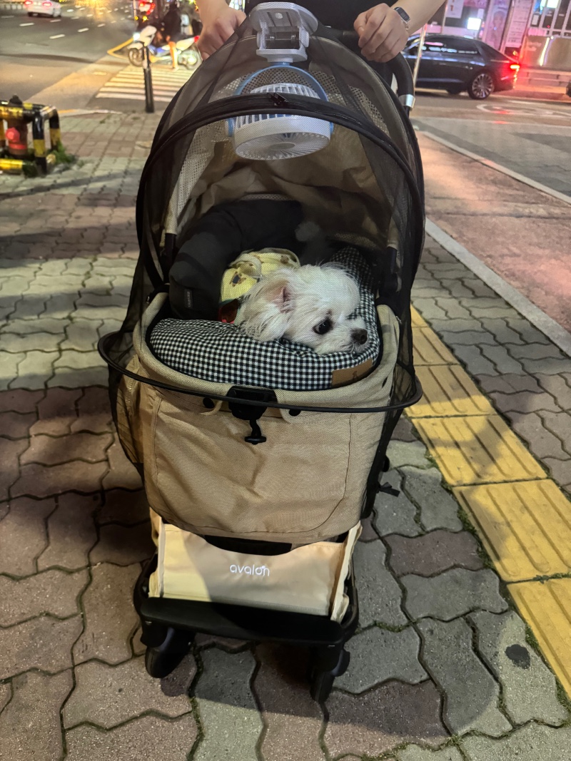 어젯밤 유모차산책