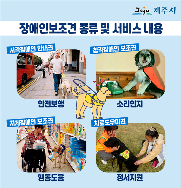 장애인 도우미견의 종류 -리트리버 말고도 장애 보조견이 있다???-