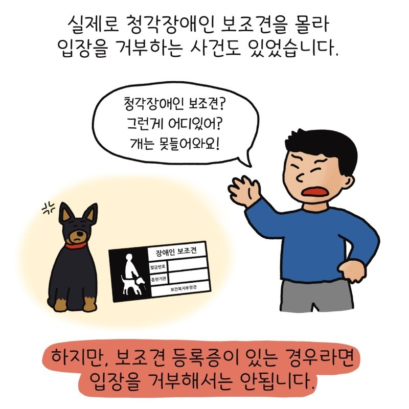 장애인 도우미견의 종류 -리트리버 말고도 장애 보조견이 있다???-
