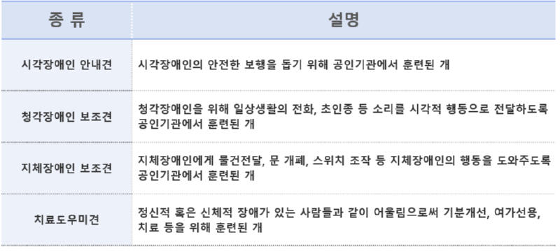장애인 도우미견의 종류 -리트리버 말고도 장애 보조견이 있다???-