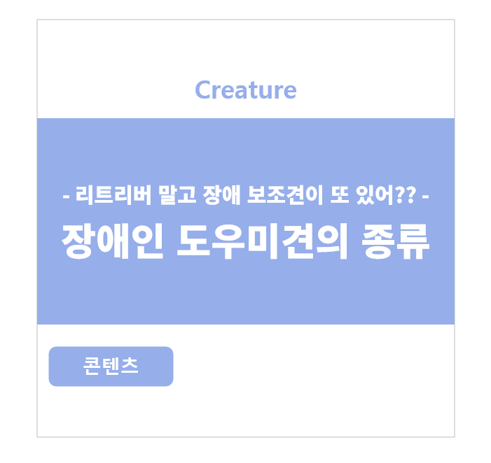 장애인 도우미견의 종류 -리트리버 말고도 장애 보조견이 있다???-