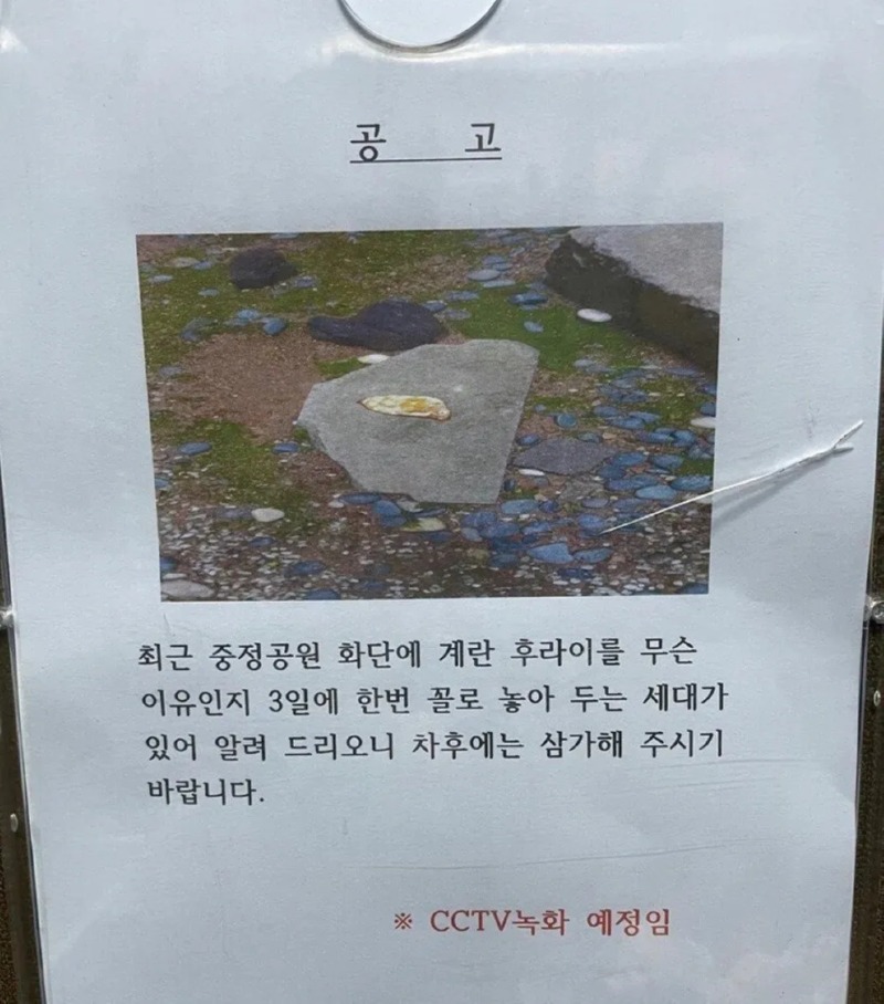 공원 계란후라이 빌런