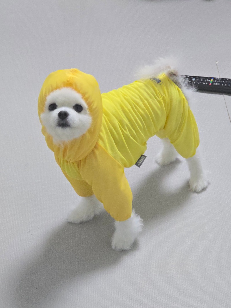 우비 아니고 진드기 방지 옷인데엽