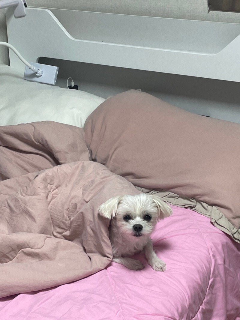 야이씨 폭력쓰까??